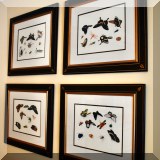 A04. Set of 4 framed butterfly prints. 21” x 24” - $225 each